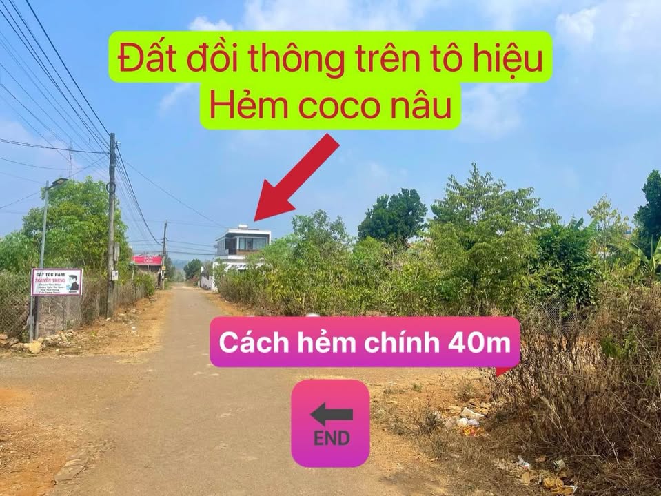Đất nền Pleiku 122m² Phan Đình Phùng - Sổ đỏ chính chủ, thổ cư 100%!