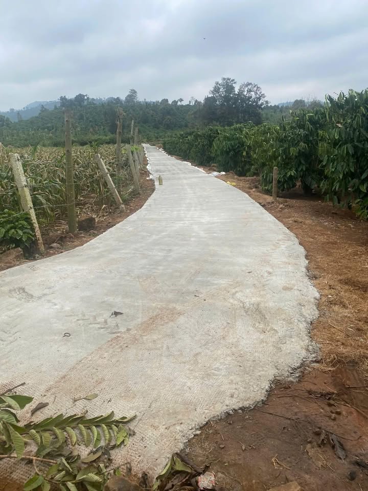 Đất Farm Đắk Bơ, Gia Lai 2880m² - View Đập, Sẵn Nước