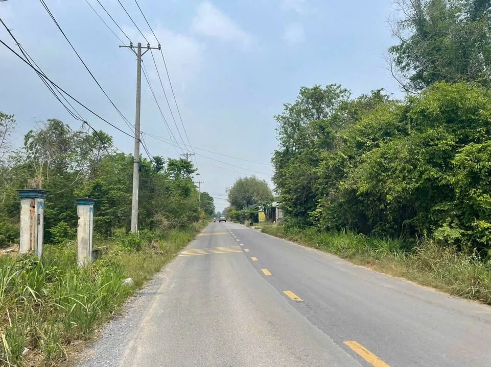 Bán đất kho 6500m² Củ Chi, mặt tiền đường đá 10m - Giá tốt