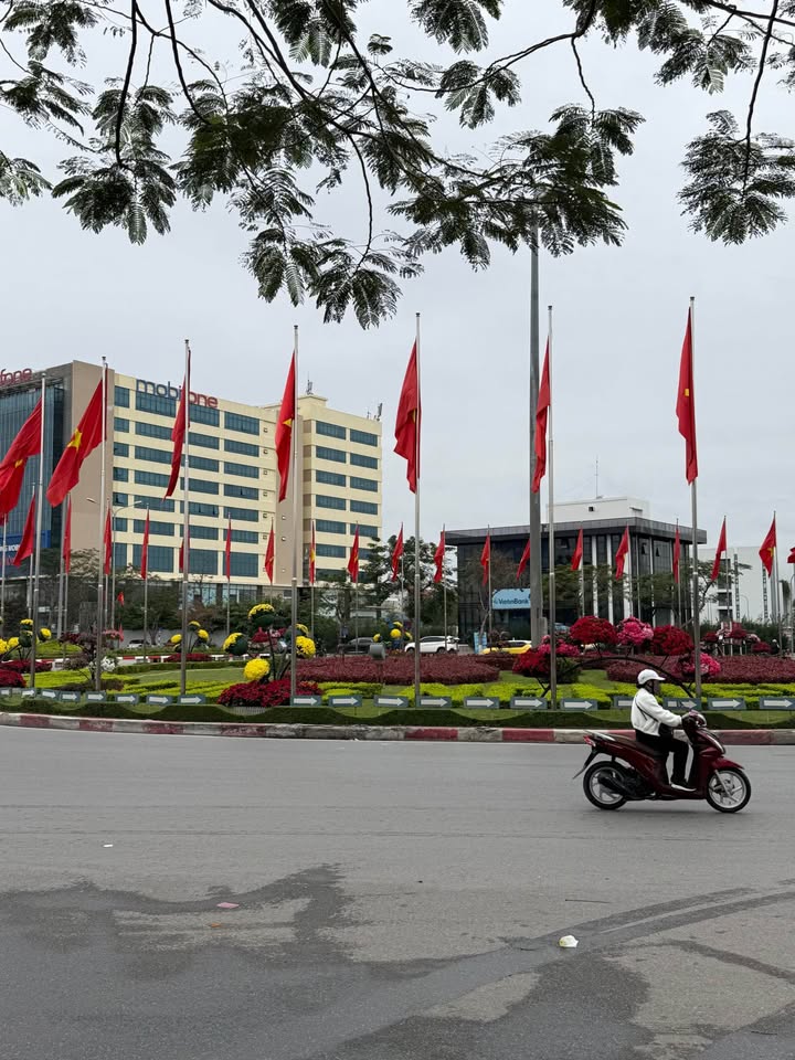 Đất nền kbt Sao Đỏ Hải An 200m² giá thỏa thuận - Sổ đỏ chính chủ