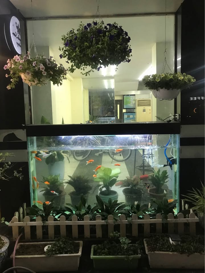 Cho thuê Nhà Mặt Tiền Lạch Tray, Hải Phòng - 64m² x 6 Tầng, Lô Góc Vỉa Hè Rộng