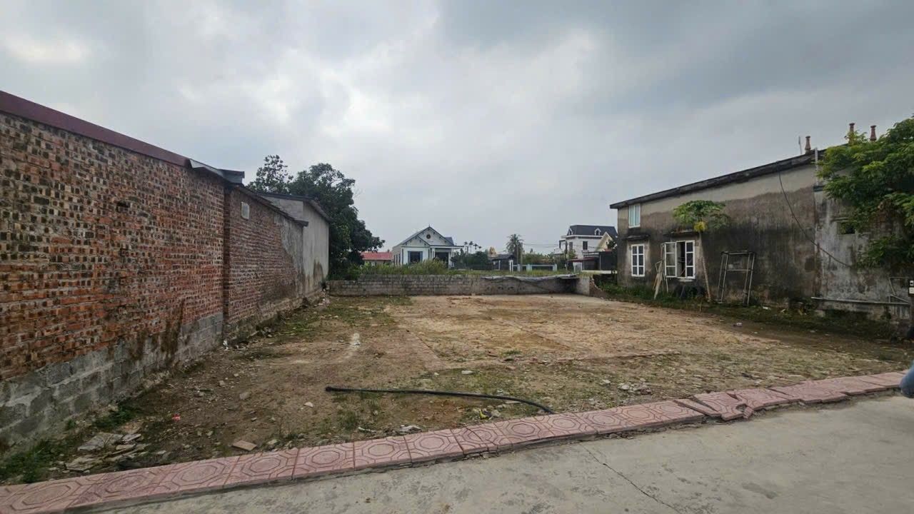 Đất nền Liễu Dinh An Lão 200m² - Tiềm năng tăng giá vượt trội!