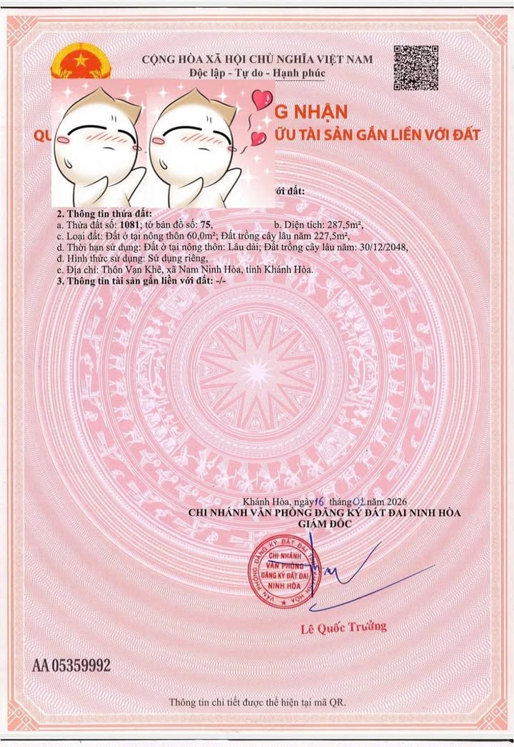 Đất Vàng Ninh Hòa 295m² Sổ Sẵn - Giá Chỉ 4xx Triệu