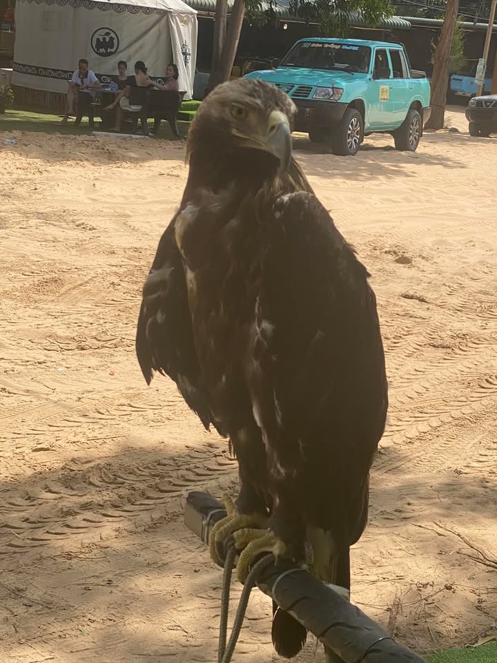 Đất Vườn Hàm Thuận Bắc 936m² - Hạ Giá Sốc 260 Triệu, Hướng Sông Mát