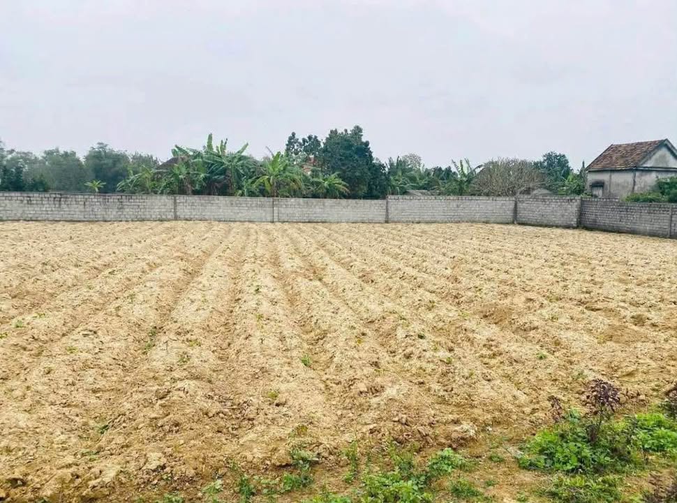 Đất nền Hòa Trạch, Bố Trạch 174m² giá tốt - Sổ đỏ chính chủ!