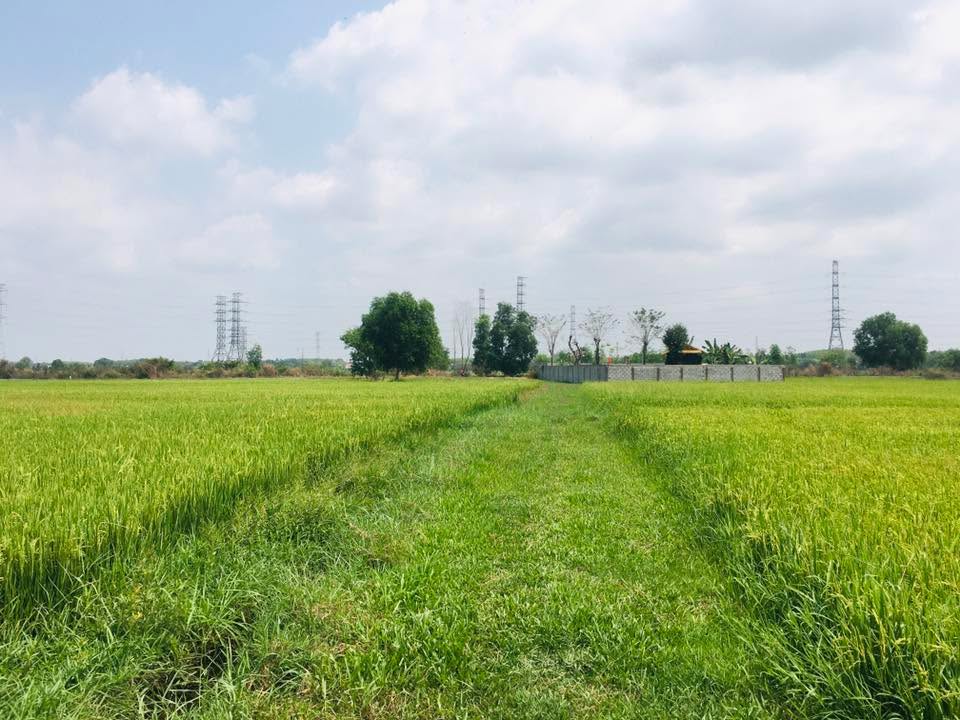 Bán Đất Trung Lập Hạ Củ Chi 1089m² - Sổ Lúa, Giá 610 Triệu