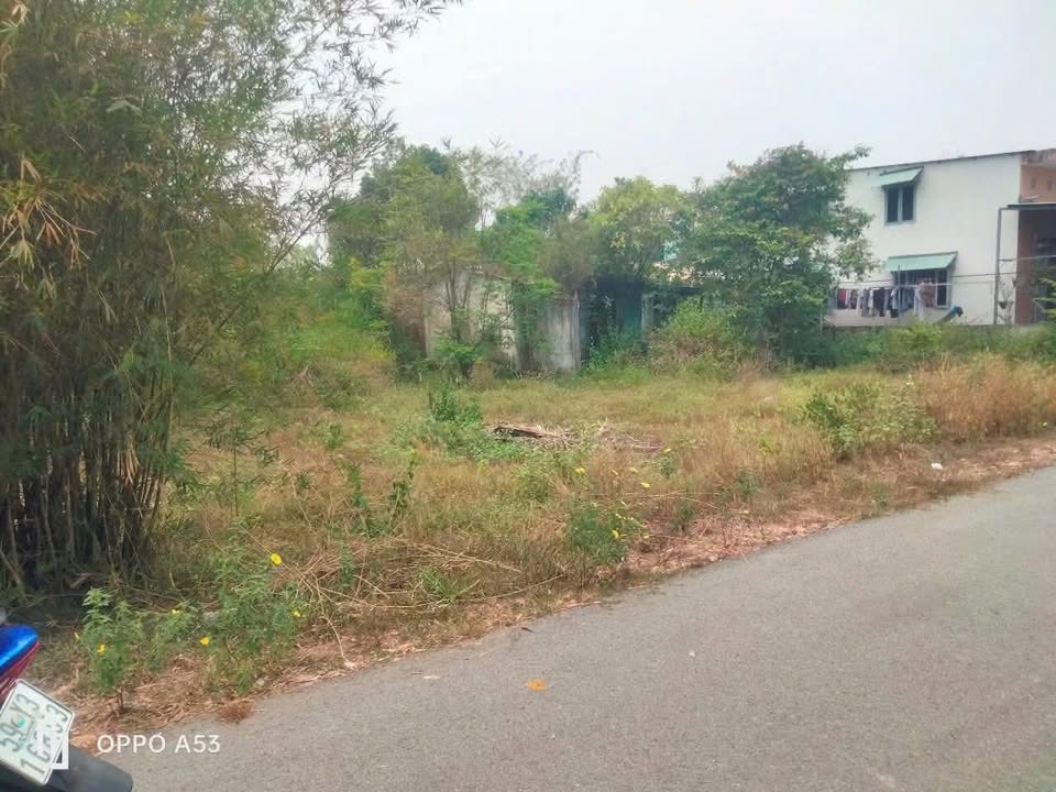 Đất nền Củ Chi 855m² - Sổ đỏ chính chủ, đường nhựa lớn!