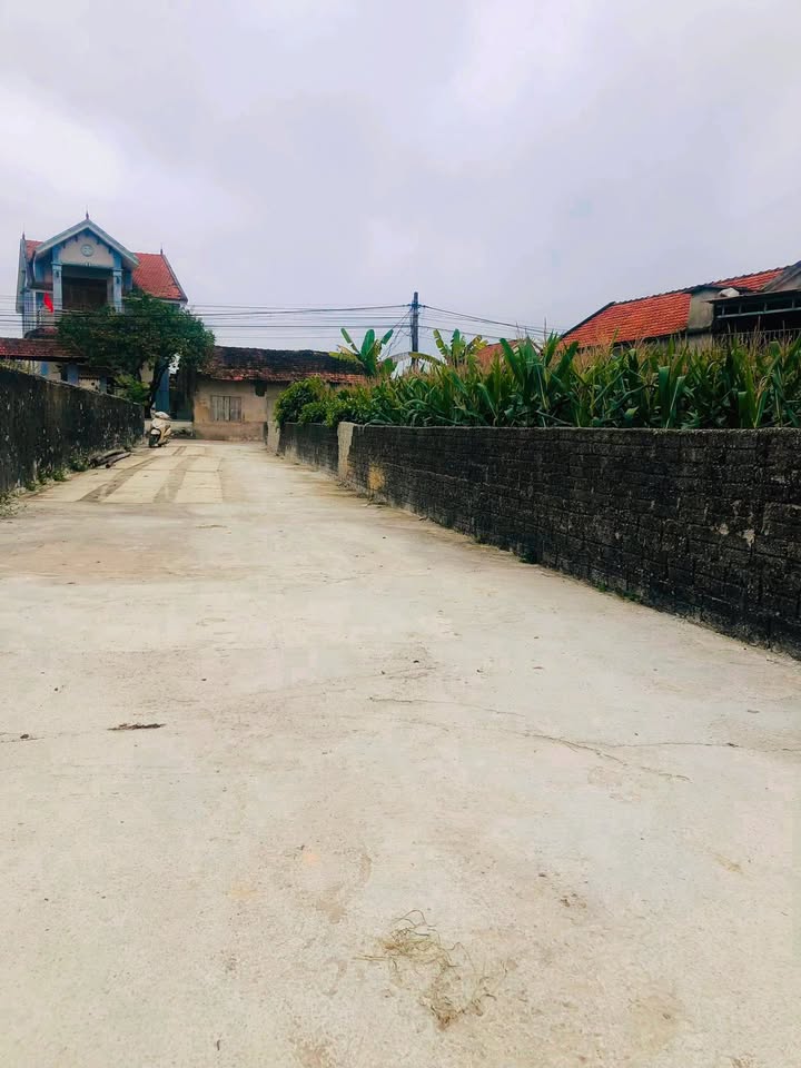 Đất Nền Quỳnh Diễn, Quỳnh Lưu 240m² - Giá Tốt Hiếm Có Dưới 1 Tỷ!