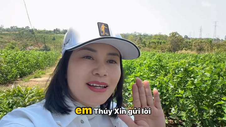 Bán Đất Vườn 7000m² Mặt Tiền Đường 40m Trung Tâm Mang Yang, Gia Lai