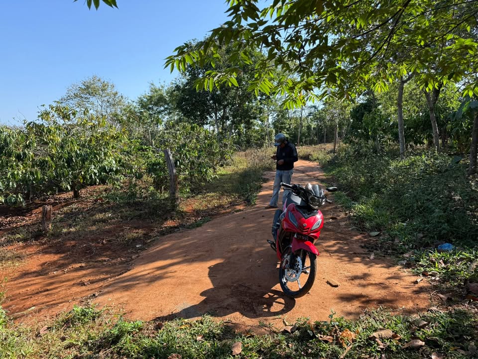 Đất nền Buôn Kha, Ea H'leo 1.1ha giá 3.8 tỷ - Sổ đỏ chính chủ!