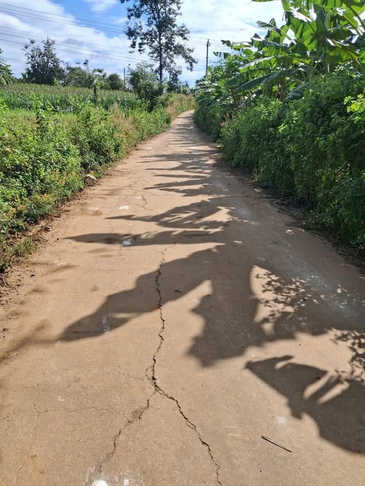 Đất vườn Buôn Ma Thuột 1000m² giá 890 triệu - Sổ đỏ chính chủ!