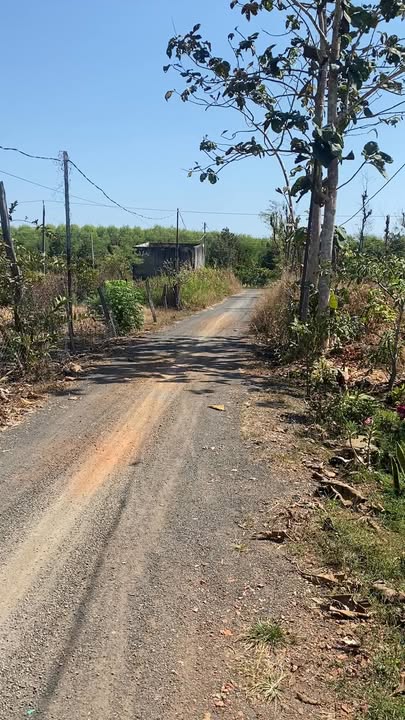 Bán nhà vườn Bù Đốp Bình Phước 396m² - Chính chủ, sẵn sàng ở ngay!