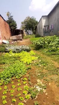 Đất Nền Đắk Mil 400m² - Giá Đầu Tư 700 Triệu - Sổ Đỏ Sẵn