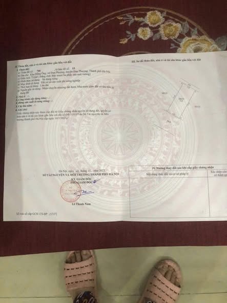 Đất nền Đan Phượng 73m² - Sổ đỏ chính chủ, ô tô vào tận nơi!