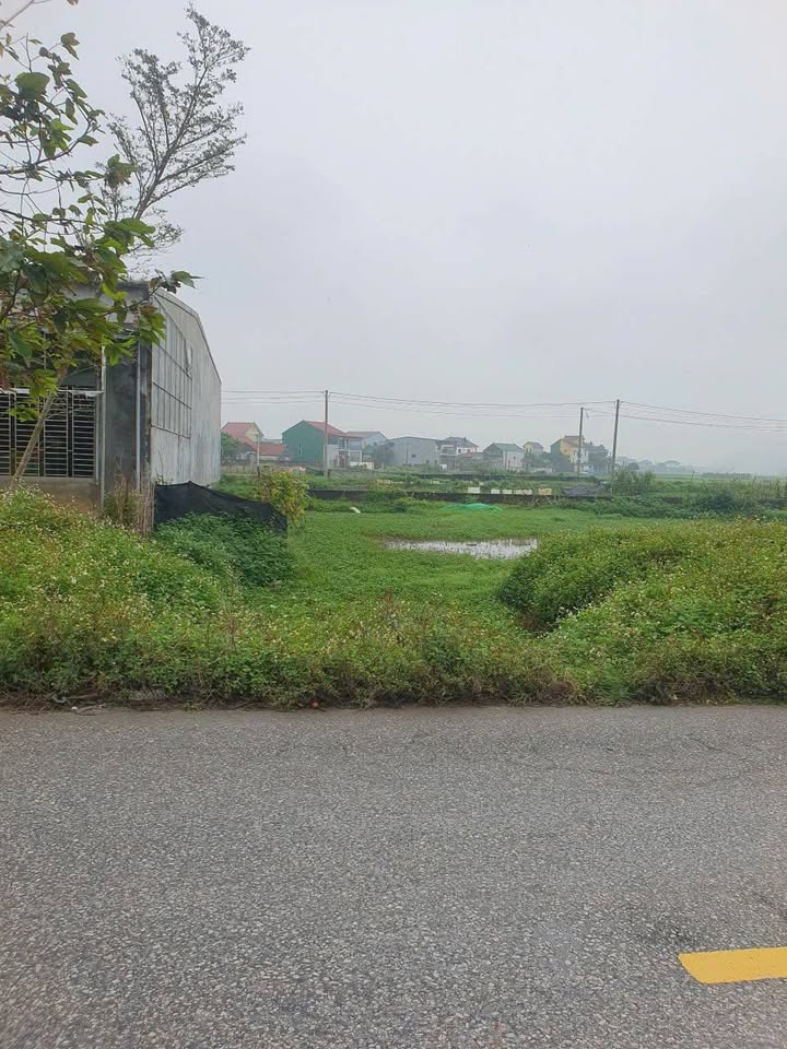 Đất mặt đường Trần Đình San Vinh 200m² – Tiềm năng tăng giá vượt trội!