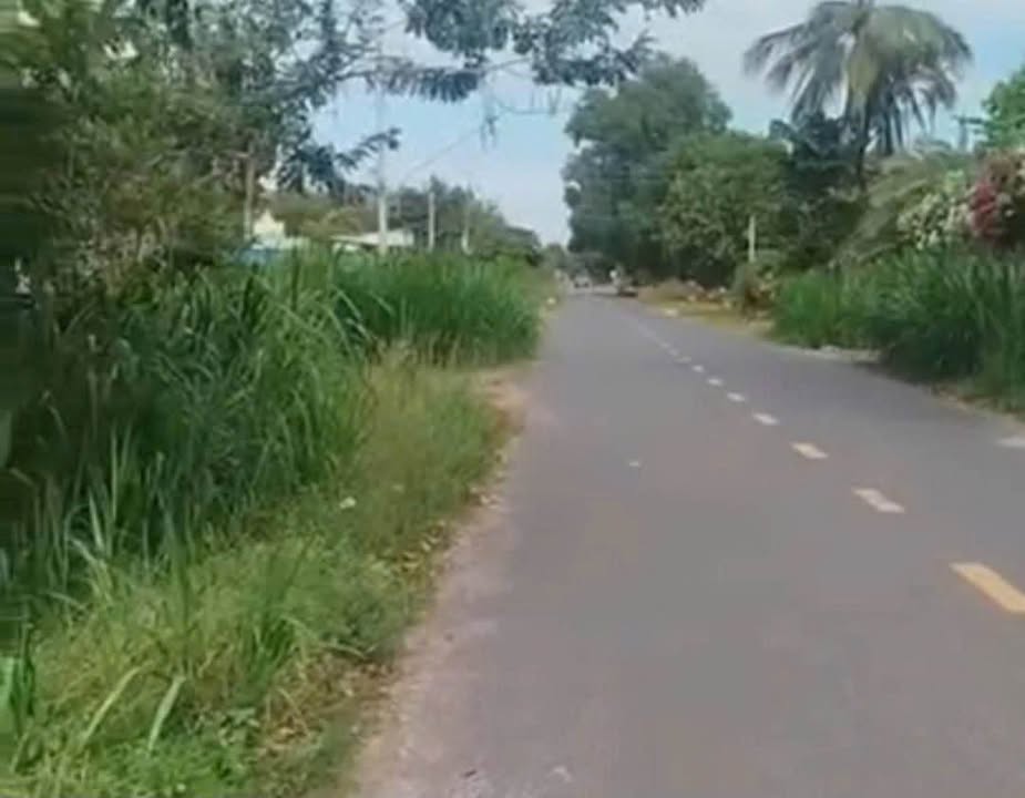 Đất Mặt Tiền Giồng Cà, Tây Ninh - 560m² Thổ Cư, Giá 72.8 Tỷ