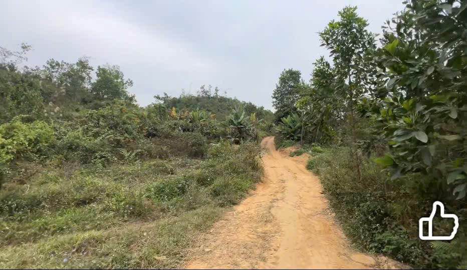 Bán đất Văn Hán Đồng Hỷ 9000m² - 140m mặt tiền - Giá đầu tư cực tốt!