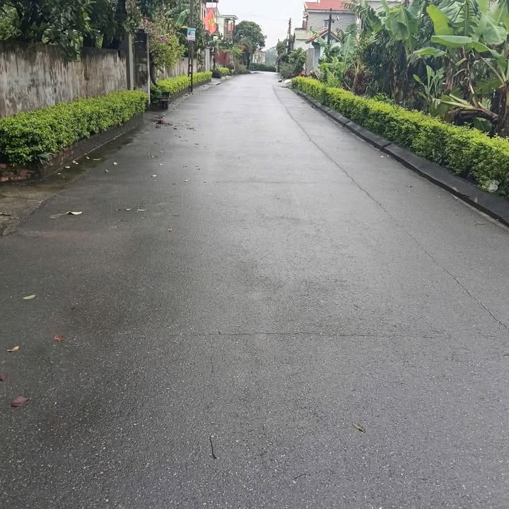 Bán đất Khánh Tiên Yên Khánh 225m² - Sổ đỏ chính chủ giá đầu tư!