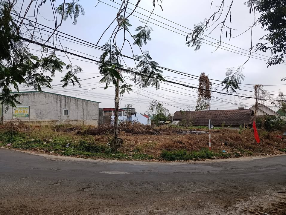 Đất Mặt Tiền Cư Jút 1500m² - Quang Trung, Xây Dựng Tự Do