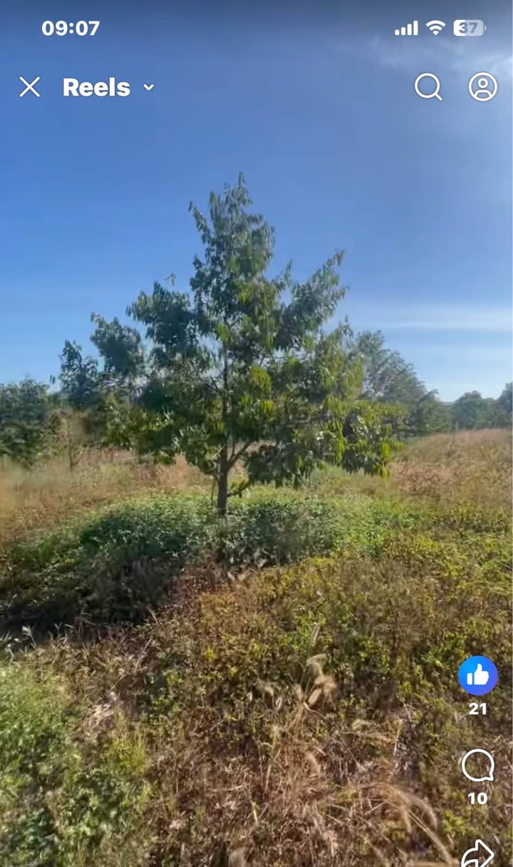 Đất Trung Tâm Ia Kha - 680m² Sổ Đỏ Công Chứng Ngay