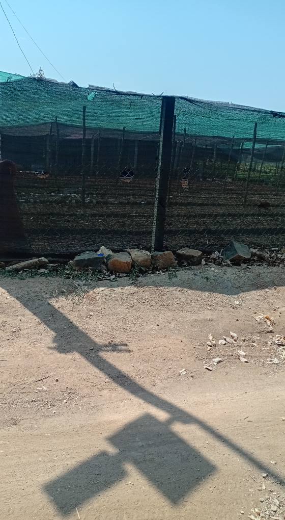 Đất nền Gia Lai 2000m² góc 2 mặt tiền - Sổ đỏ sẵn sàng