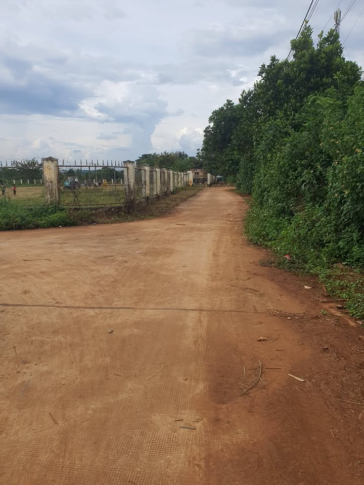 Đất nền Hẻm Lý Chính Thắng, Pleiku 90m² - Giá 500 triệu, Sẵn Sàng Xây Dựng