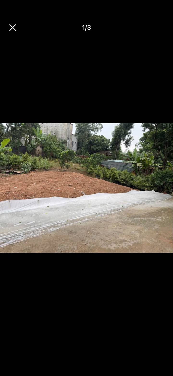 Đất nền 90m² Minh Phương, Việt Trì - Sổ đỏ chính chủ, giá chỉ 1.x tỷ!