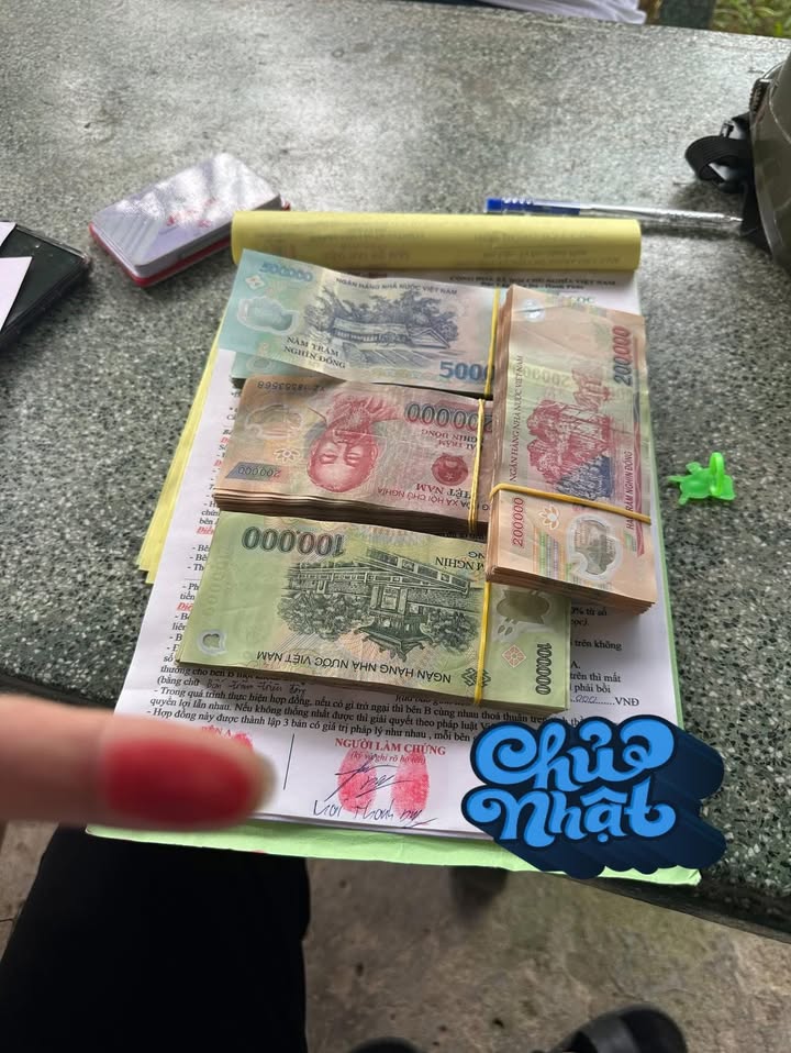 Đất Gò Dầu - Tây Ninh: 252m² Mặt Nhựa Gia Bình, Giá 1.25 Tỷ