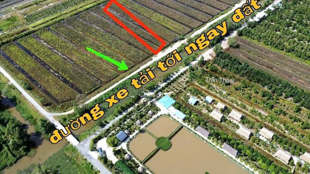 Đất nền Ấp Mỹ Thuận 135m² chỉ 286 triệu - Tiềm năng tăng giá!