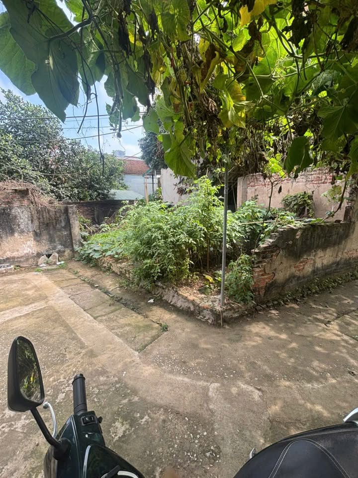 Đất nền Hoàng Xá, Chương Mỹ 45m² nở hậu, ô tô vào đất - Sổ đỏ sẵn sàng