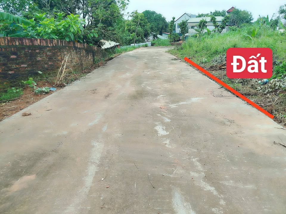 Đất nền 96m² hướng Đông Nam - Sổ đỏ chính chủ tại Tam Dương, Vĩnh Phúc