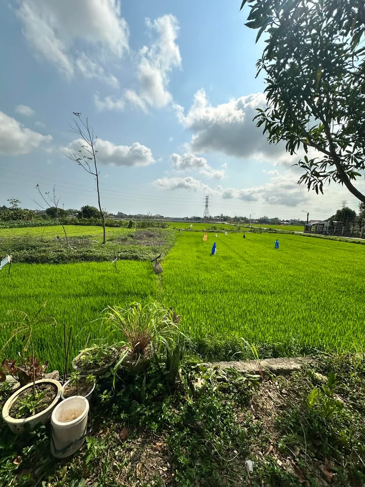 Đất Nền Điện Phương 87m² - View Đồng Lúa Thoáng Mát, Sát Hội An