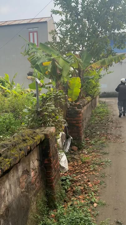 Đất nền Xã Liên Phương 750m² - Sổ đỏ chính chủ, tiềm năng sinh lời!