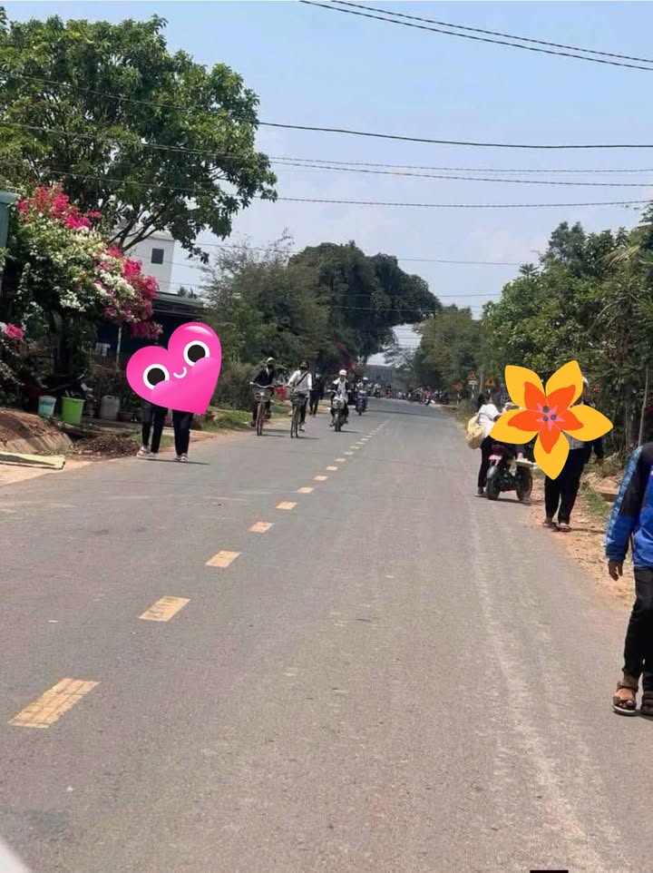 Đất nền Tỉnh lộ 10 Buôn Trấp 480m² - Sổ đỏ chính chủ!