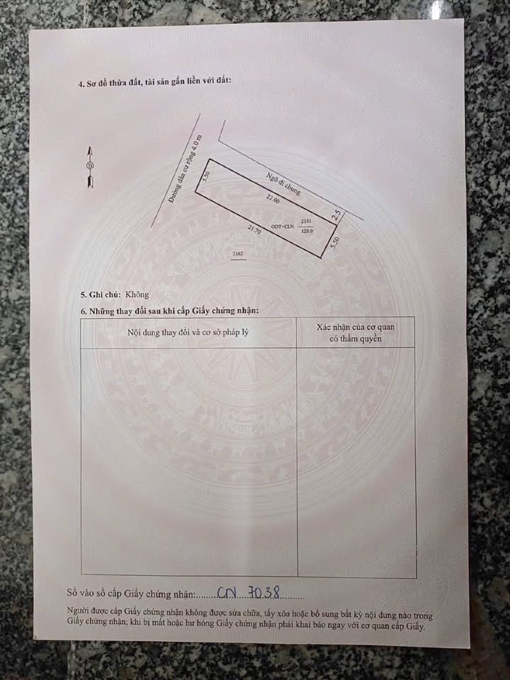 Đất nền Đông Hải 120m² - Sổ đỏ chính chủ, đường ô tô thông thoáng