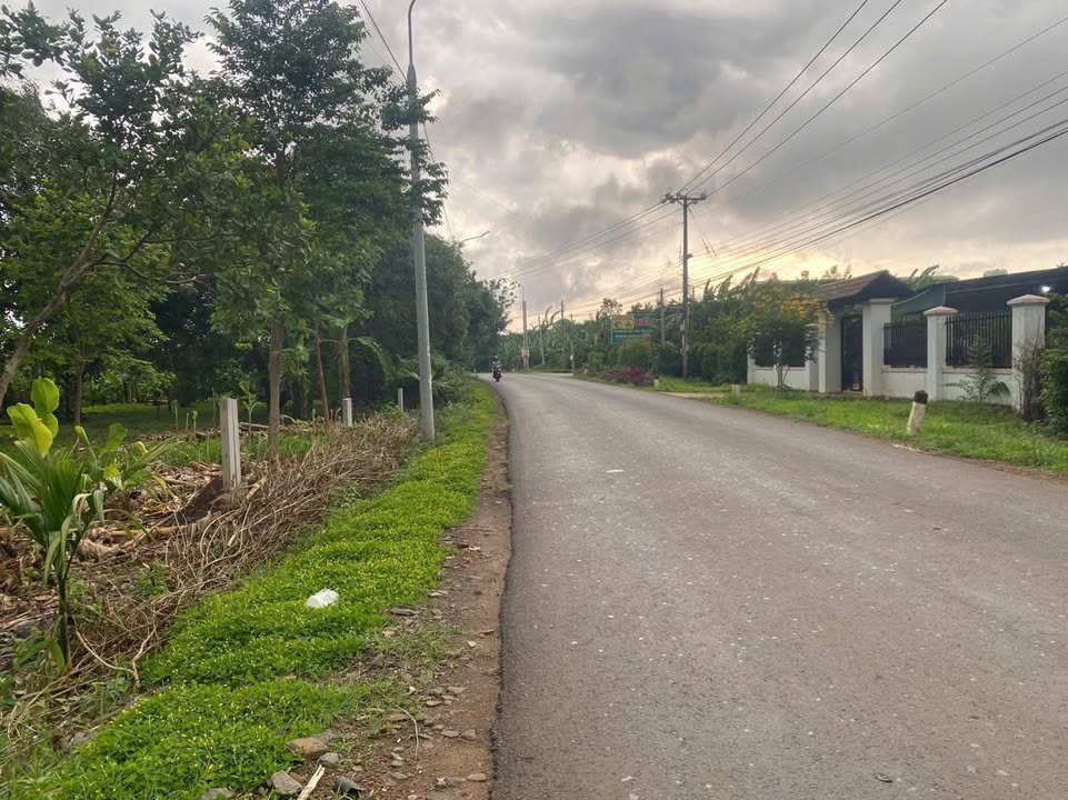 Đất nền mặt tiền đường Phú Hoà-Phú Lợi, Định Quán 216m² - Sổ hồng riêng