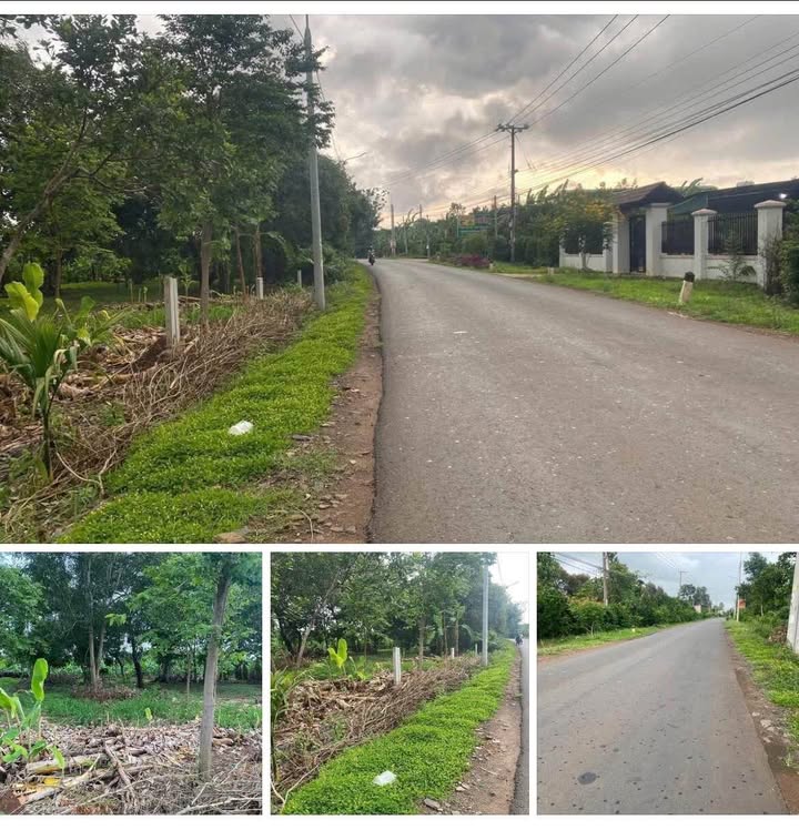 Đất nền mặt tiền Phú Hòa Định Quán 216m² giá 1.5 tỷ - Sổ đỏ chính chủ!