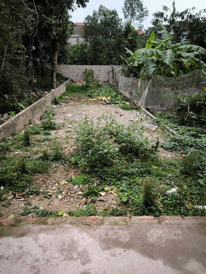 Bán Đất Ỷ Lan Long Biên 76m² Giá 3 Tỷ - Chính Chủ, Ngõ Nông Thoáng Mát