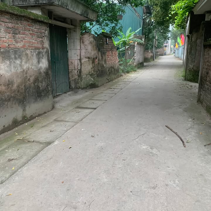 Bán đất Phượng Đồng, Chương Mỹ 65m² - Sát ĐH TDTT, ô tô vào đất, nhỉnh 3 tỷ