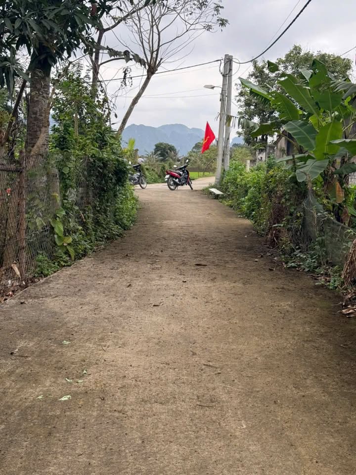 Đất nền Yên Sơn Tam Điệp 96m² – Sổ đỏ chính chủ, 2 mặt tiền đắc địa!