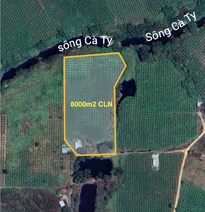 Đất vườn 8000m² Mương Mán, Bình Thuận - View sông Cà Ty đẹp!