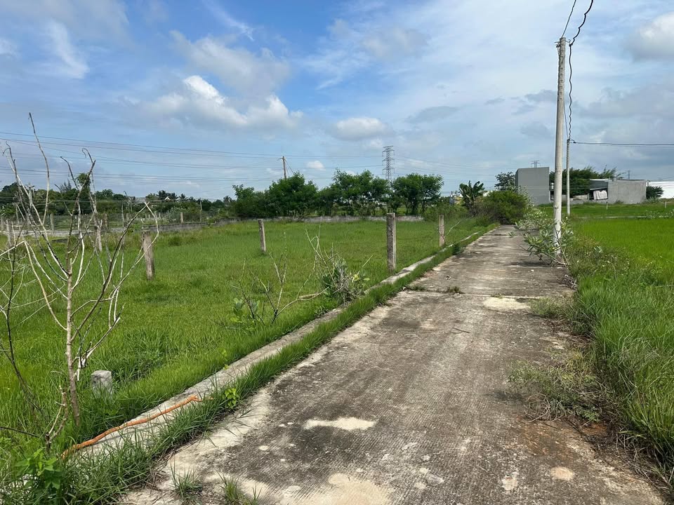 Đất thổ cư 115m² Phong Nẫm, Bình Thuận - Giá 560 triệu, đường ô tô