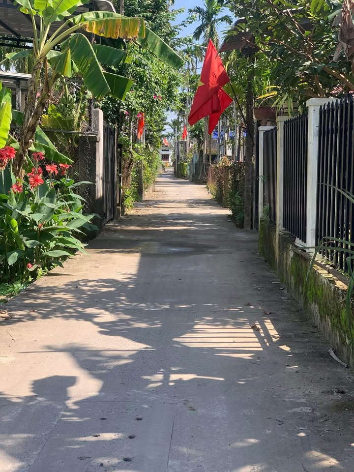 Đất nền Cẩm Thanh Hội An 128m² - Sổ đỏ sẵn sàng giao dịch