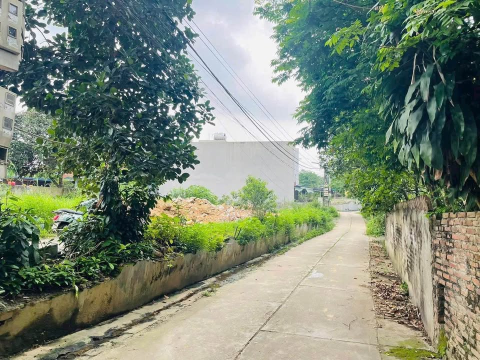 Đất nền Tích Lương, Thái Nguyên 270m² - Sổ đỏ chính chủ