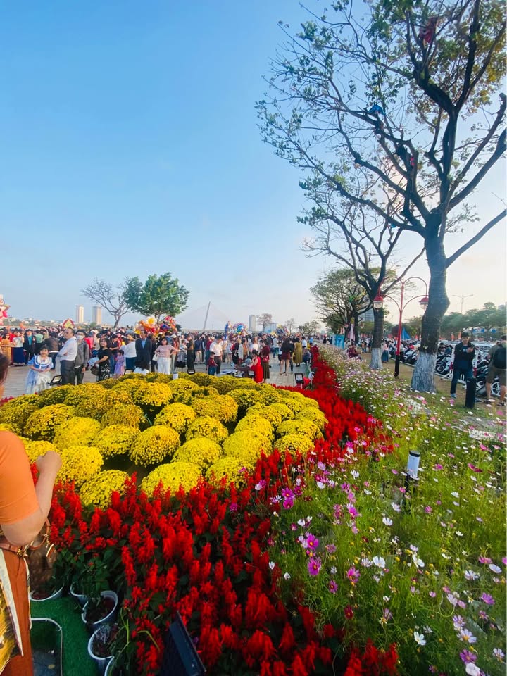 Đất nền Hòa Khánh Bắc, Liên Chiểu 72m² - Tiềm năng tăng giá vượt trội!