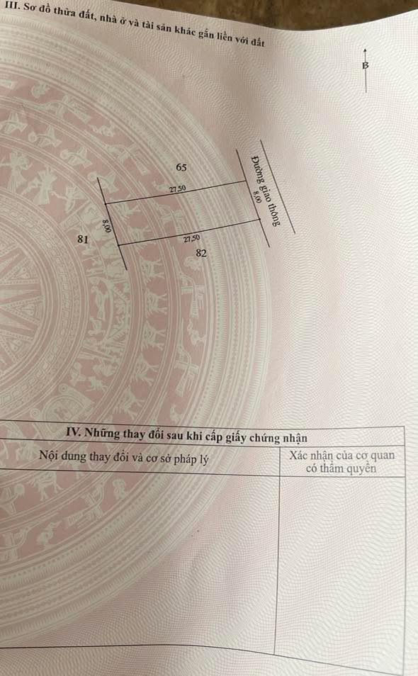 Đất Nền Thổ Cư 219m² TT Xuân An, Hà Tĩnh - Sổ Đỏ Sẵn Sàng