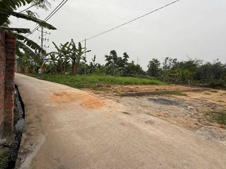 Đất Vĩnh Phúc 121.6m² - Sổ Đỏ Sẵn Sàng, Giá Hơn 800 Triệu