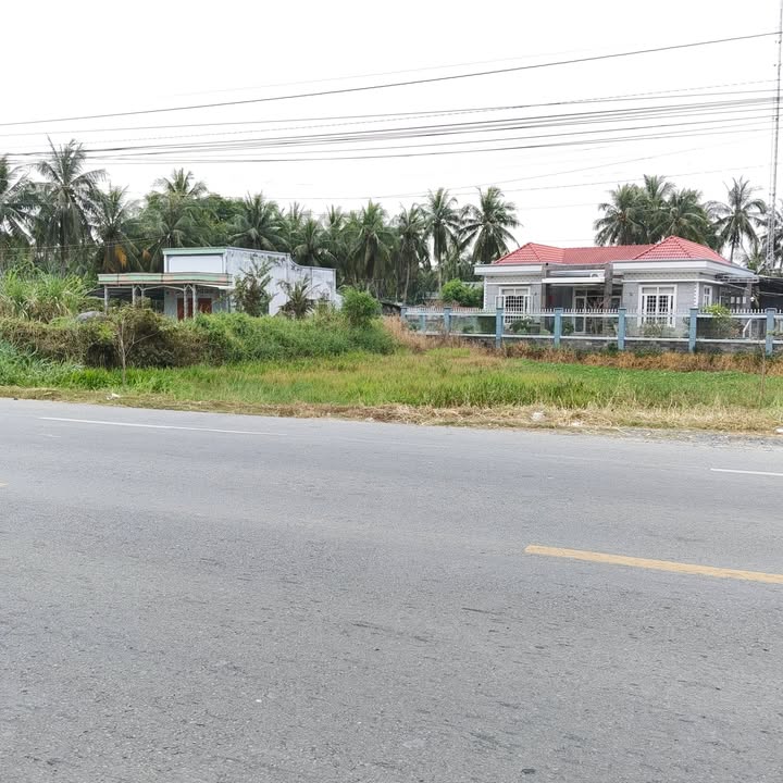 Đất Nền Vĩnh Bình Đồng Tháp 157m² - Mặt Tiền QL50, Tiềm Năng Vượt Trội!