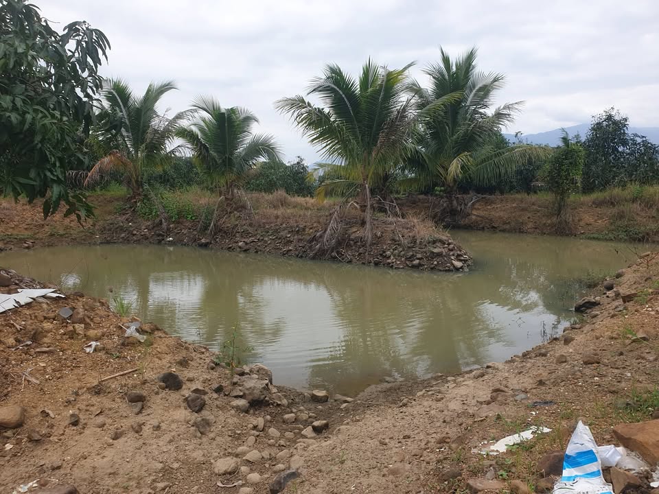 Đất Farm Diên Lâm, Diên Khánh 2.3ha - Sinh thái xanh, đầu tư lý tưởng!