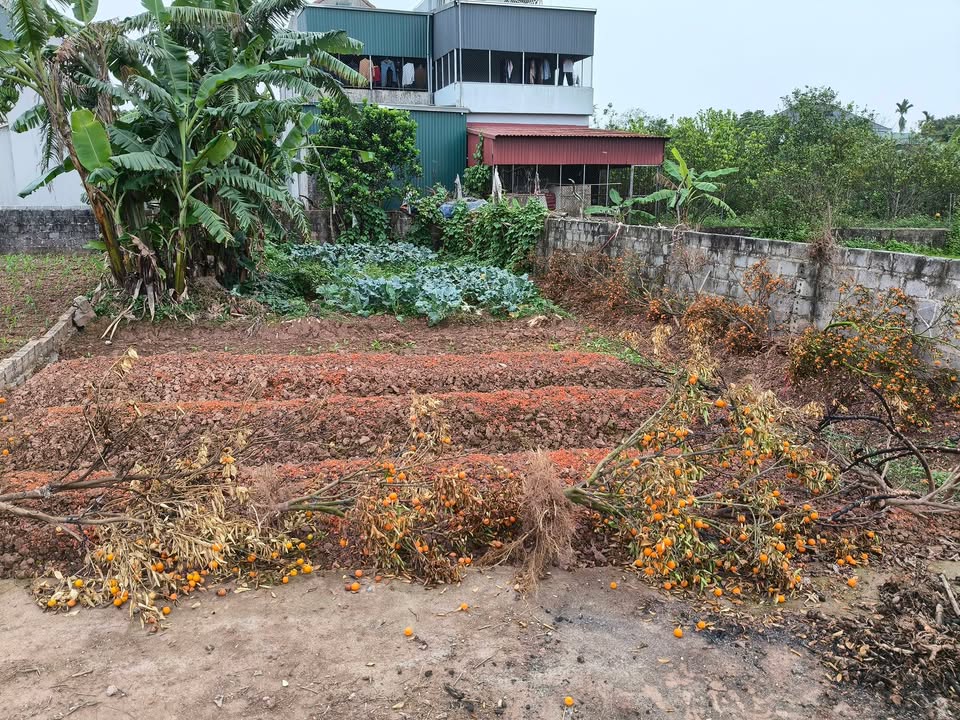 Đất nền An Bài, Bình Lục 138m² - Sổ đỏ chính chủ!